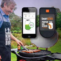 BMPRO LPG Gas Bottle Level Sensor Monitor & App - BMPRO Smartsense