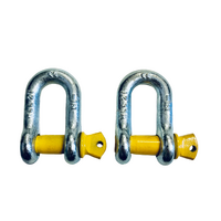 2 x 13mm D Shackle MISTER HITCHES Stamped & Rated 2000KG 