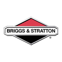 Briggs & Stratton